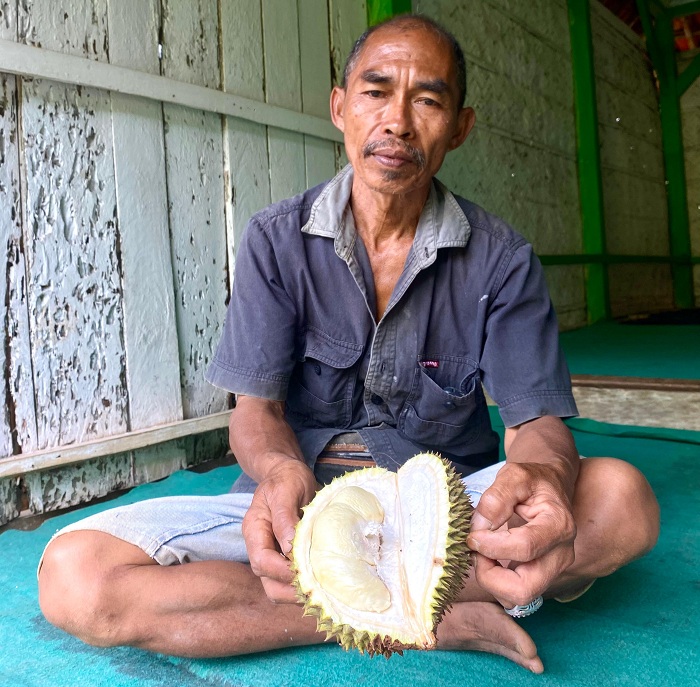BIKIN KETAGIHAN: Busirah menunjukkan daging durian kasur miliknya, Jumat (10/1). (MOH. IQBAL AFGANI/JPRM)