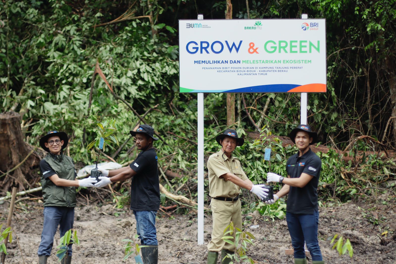 Gerakan BRI Menanam - Grow & Green dalam aksi pulohkan ekosistem lingkungan