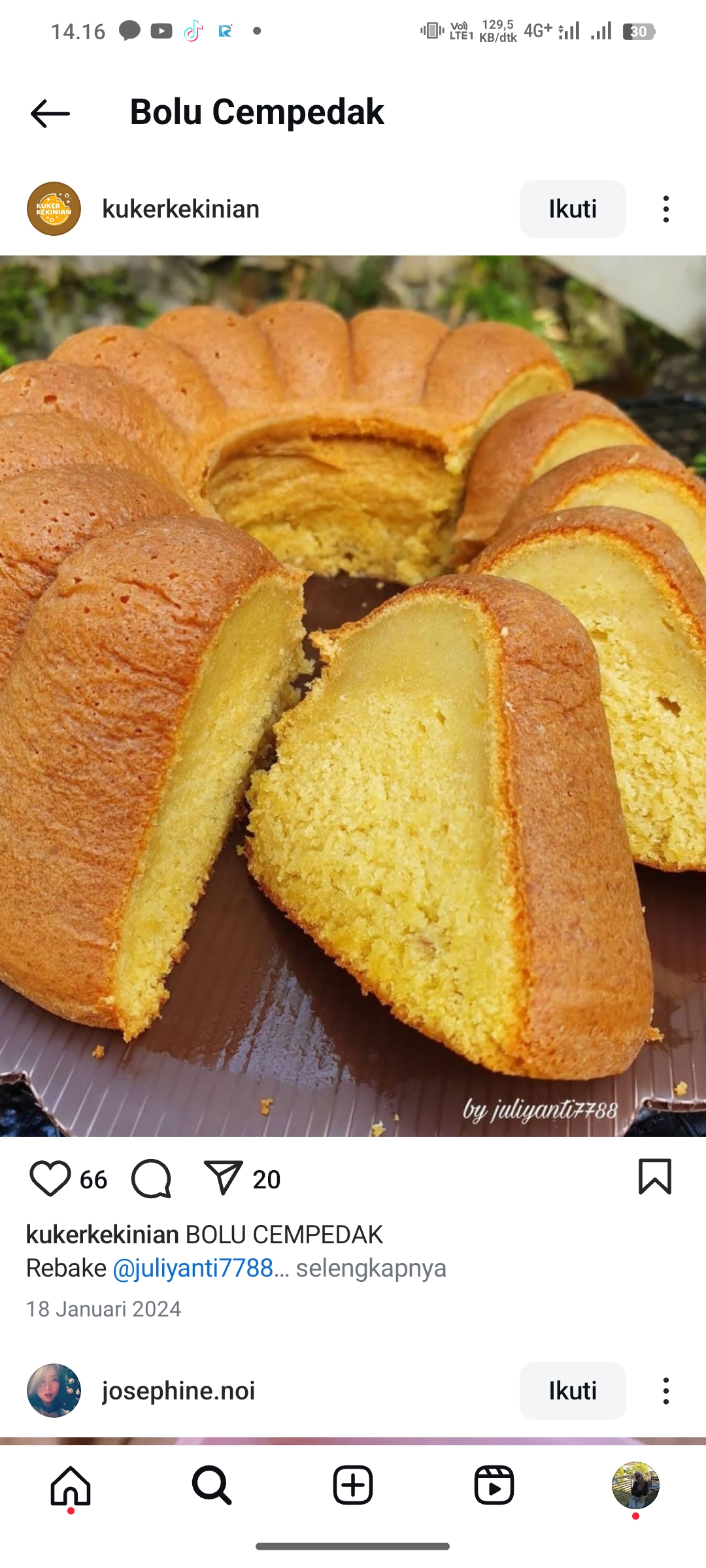 Bolu Cempedak