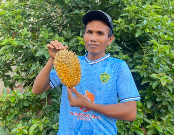 DIBURU: Rifai menunjukkan durian simas di Desa Tebul Timur, Kecamatan Pegantenan, Pamekasan, Jumat (17/1). (MOH. IQBAL AFGANI/JPRM)