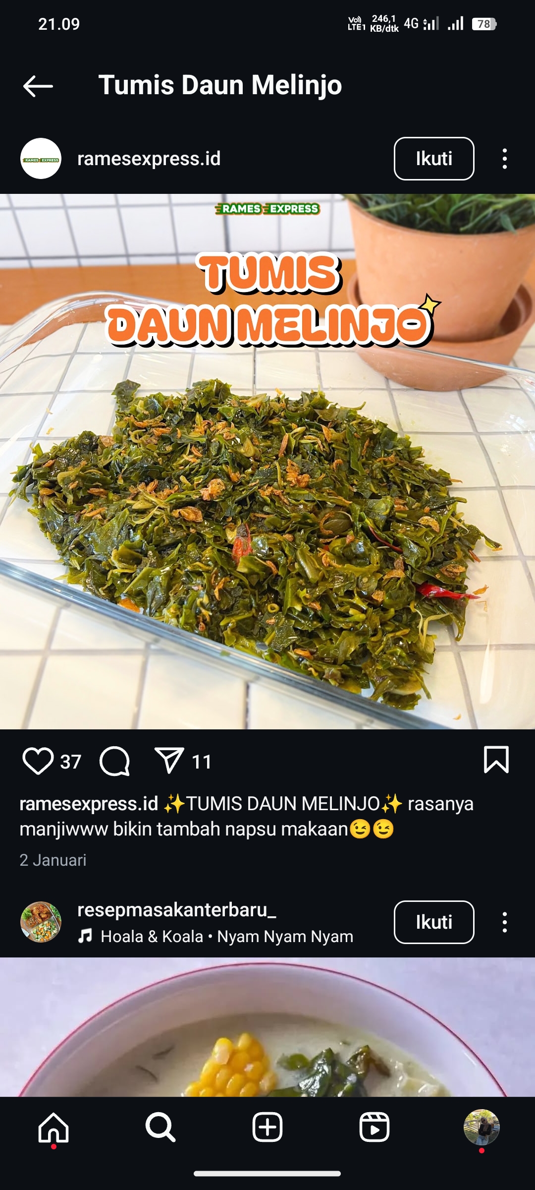 Tumis Daun Melinjo