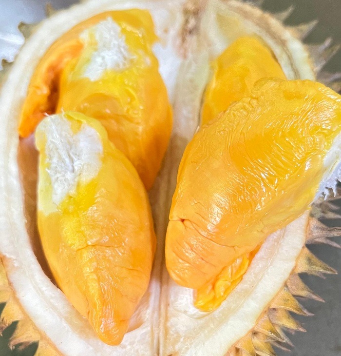 BIKIN NGILER: Durian simas berwarna kuning keemasan yang tumbuh subur di Pamekasan. (RIFAI UNTUK JPRM)