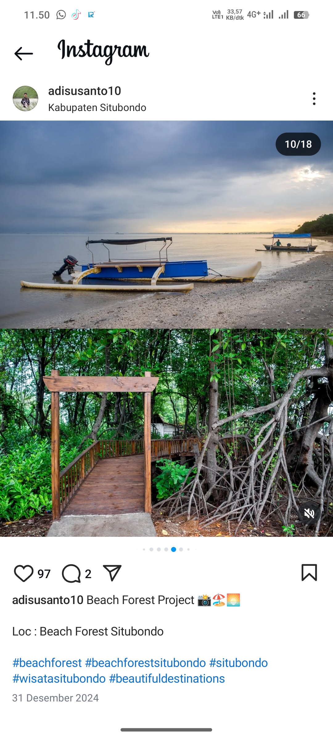 Beach Forest di Situbondo