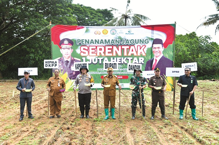 KOMPAK: Bupati Sumenep Achmad Fauzi Wongsojudo (tengah) bersama forkopimda dan jajaran lainnya saat menanam jagung di Desa Ellak Daya, Kecamatan Lenteng, Selasa, (21/1). (PROKOPIM SUMENEP UNTUK JPRM)
