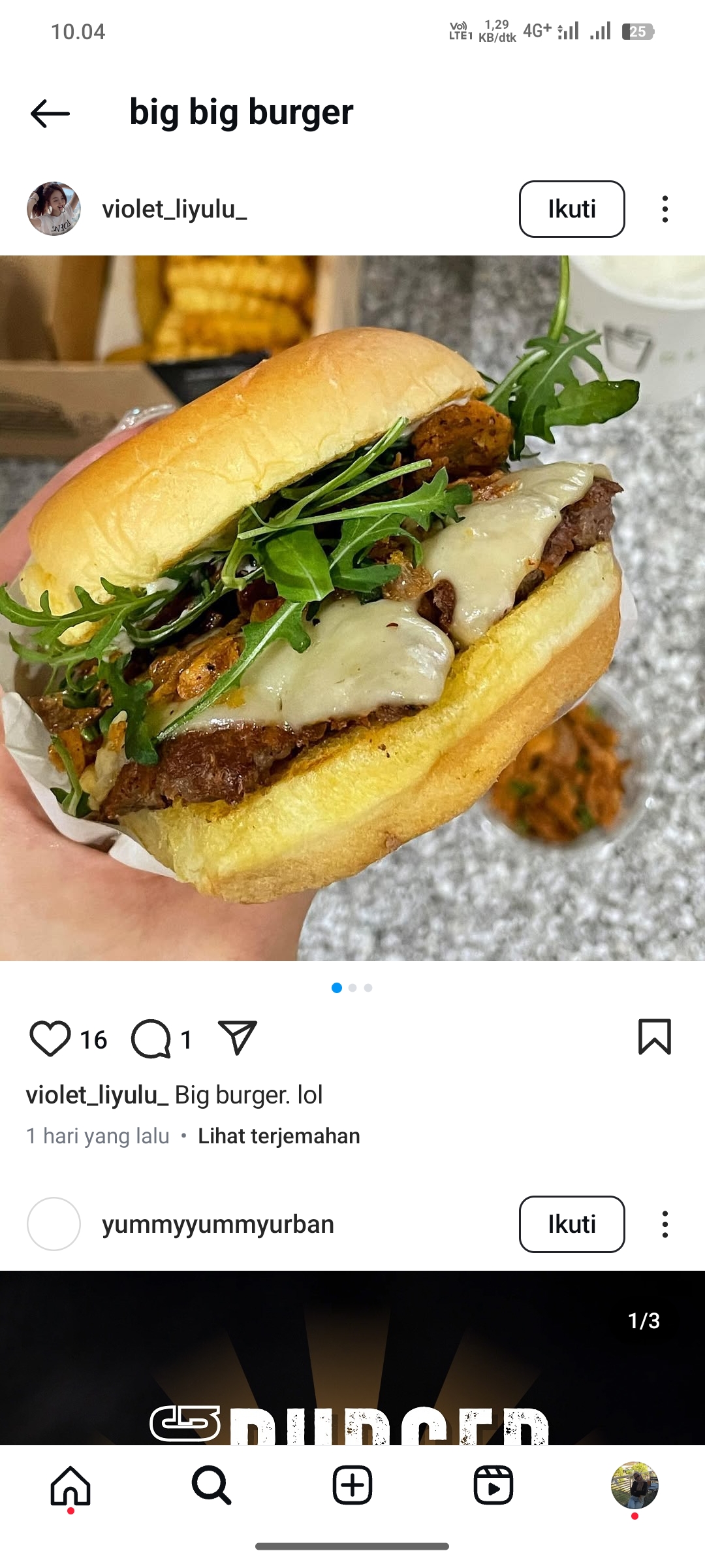 Big Big Burger