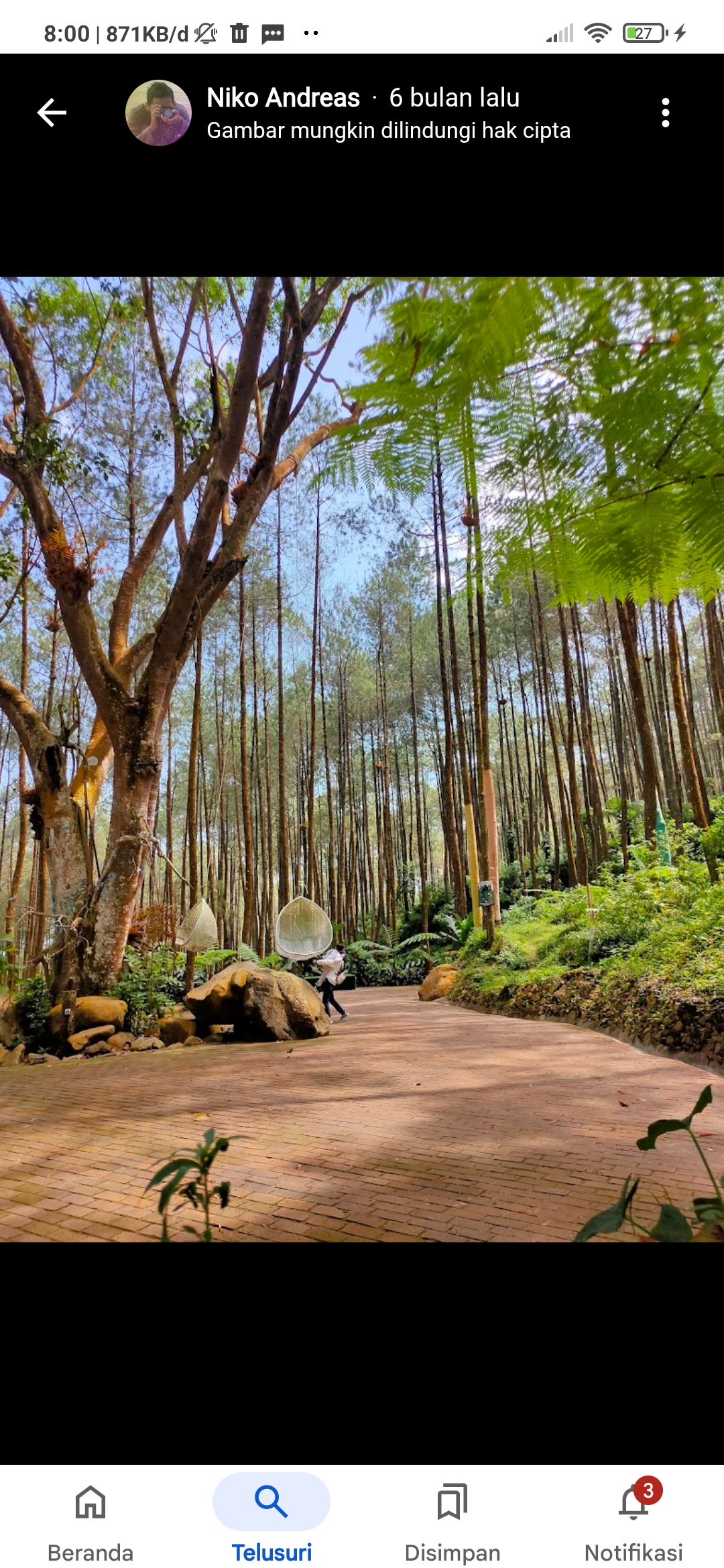 Pinea Forest Mangli