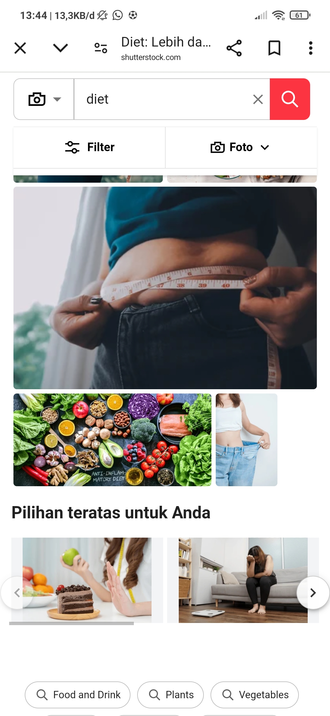 Diet yang baik