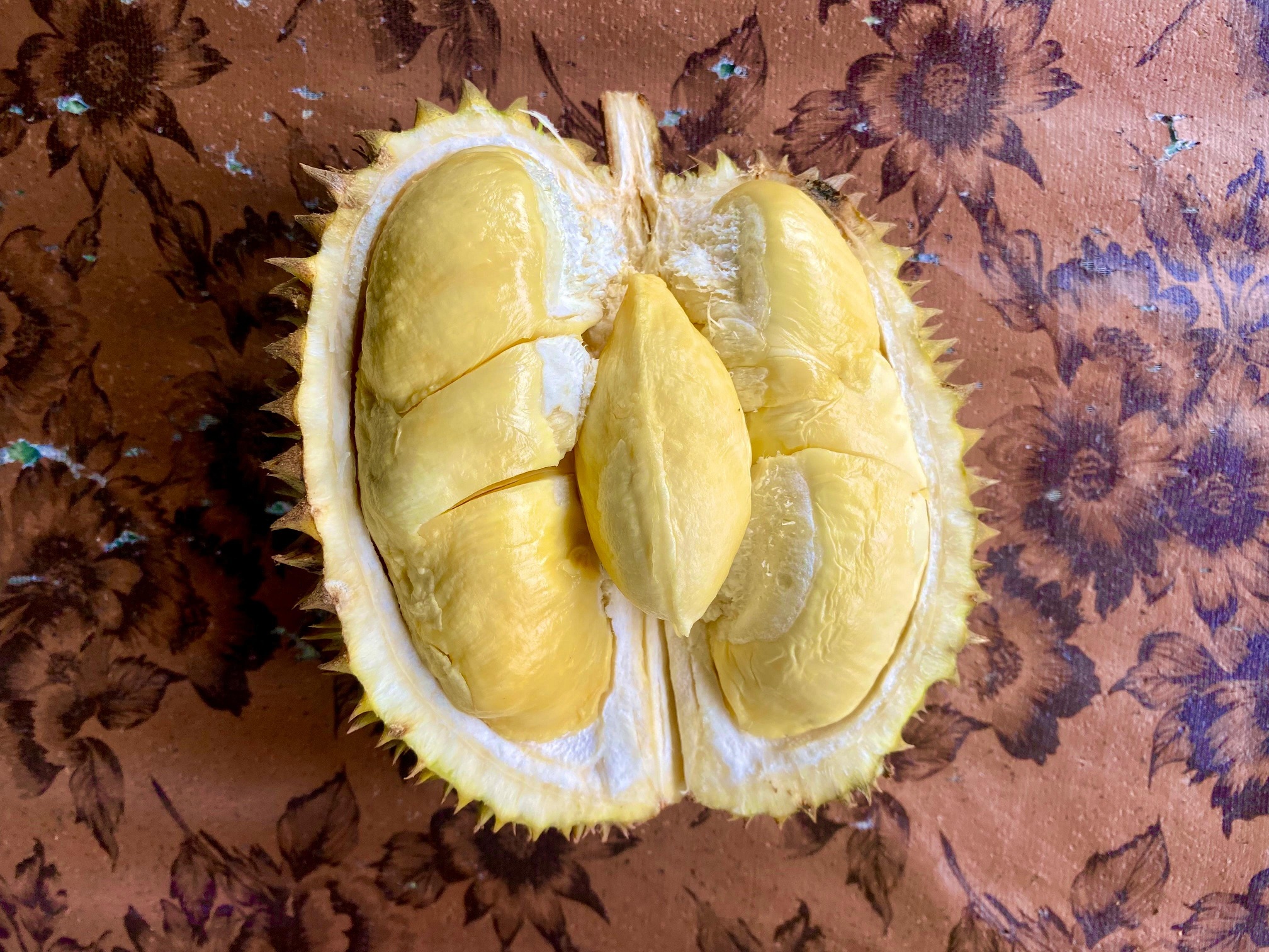 MENGGODA: Durian mentega di Desa Tebul Timur, Kecamatan Pegantenan. (MOH. IQBAL AFGANI/JPRM)