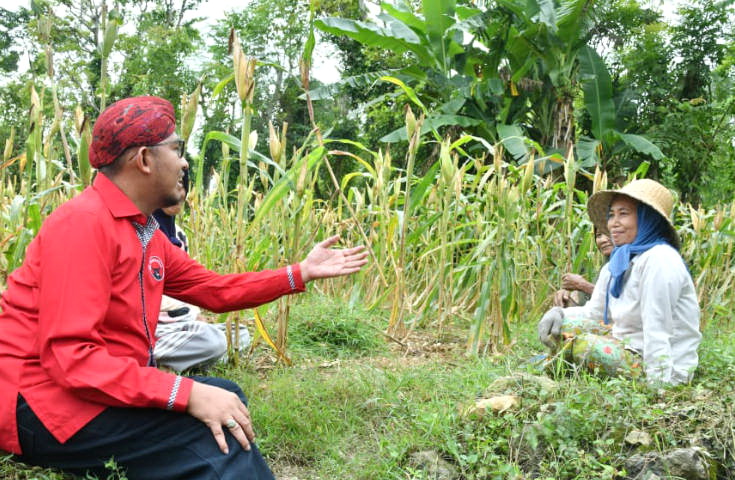 AKRAB: Bupati Sumenep Achmad Fauzi Wongsojudo (baju merah) ngobrol dengan para petani Kota Keris.