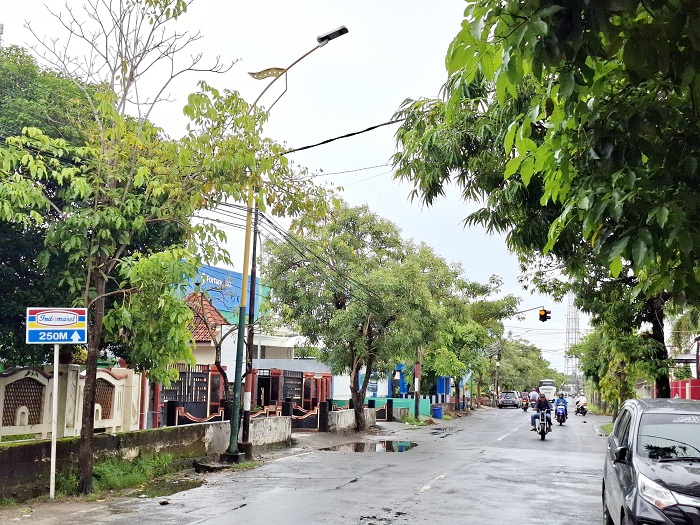 LANCAR: Kendaraan melintas di bawah PJU di Jalan Dr Cipto, Desa Kolor, Kecamatan Kota Sumenep, Senin (27/1). (MOH. LATIF/JPRM)