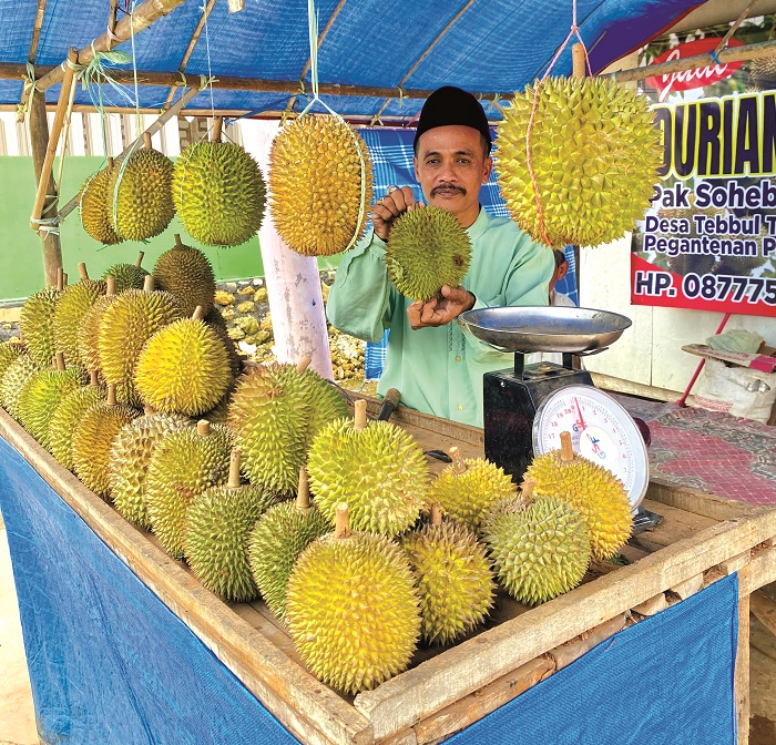 HIJAU: Abd. Azis menunjukkan durian susu di Desa Tebul Timur, Kecamatan Pegantenan, Pamekasan, Jumat (31/1). (MOH. IQBAL AFGANI/JPRM)