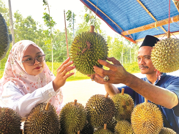 LARIS: Iffah Al-Abadiyah membeli durian di Desa Tebul Timur, Kecamatan Pegantenan, Pamekasan, Jumat (7/2). (MOH. IQBAL AFGANI/JPRM)