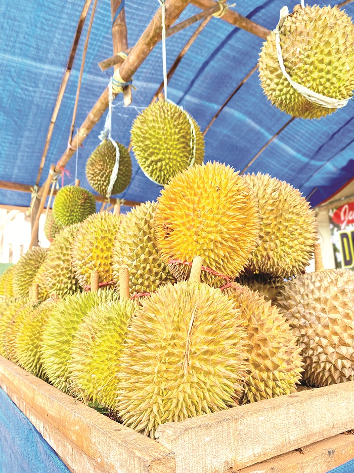 TERSUSUN: Berbagai jenis durian yang dijual di lapak milik Soheb di Desa Tebul Timur, Kecamatan Pegantenan, Pamekasan, Jumat (7/2). (MOH. IQBAL AFGANI/JPRM)