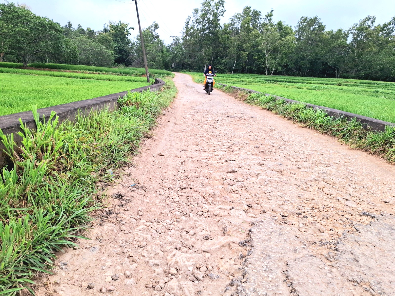 MEMPRIHATINKAN: Pengendara melintas di jalan kabupaten yang berlokasi di Desa Giring, Kecamatan Manding, Sumenep, Minggu (9/2). (MOH. IQBAL/JPRM)