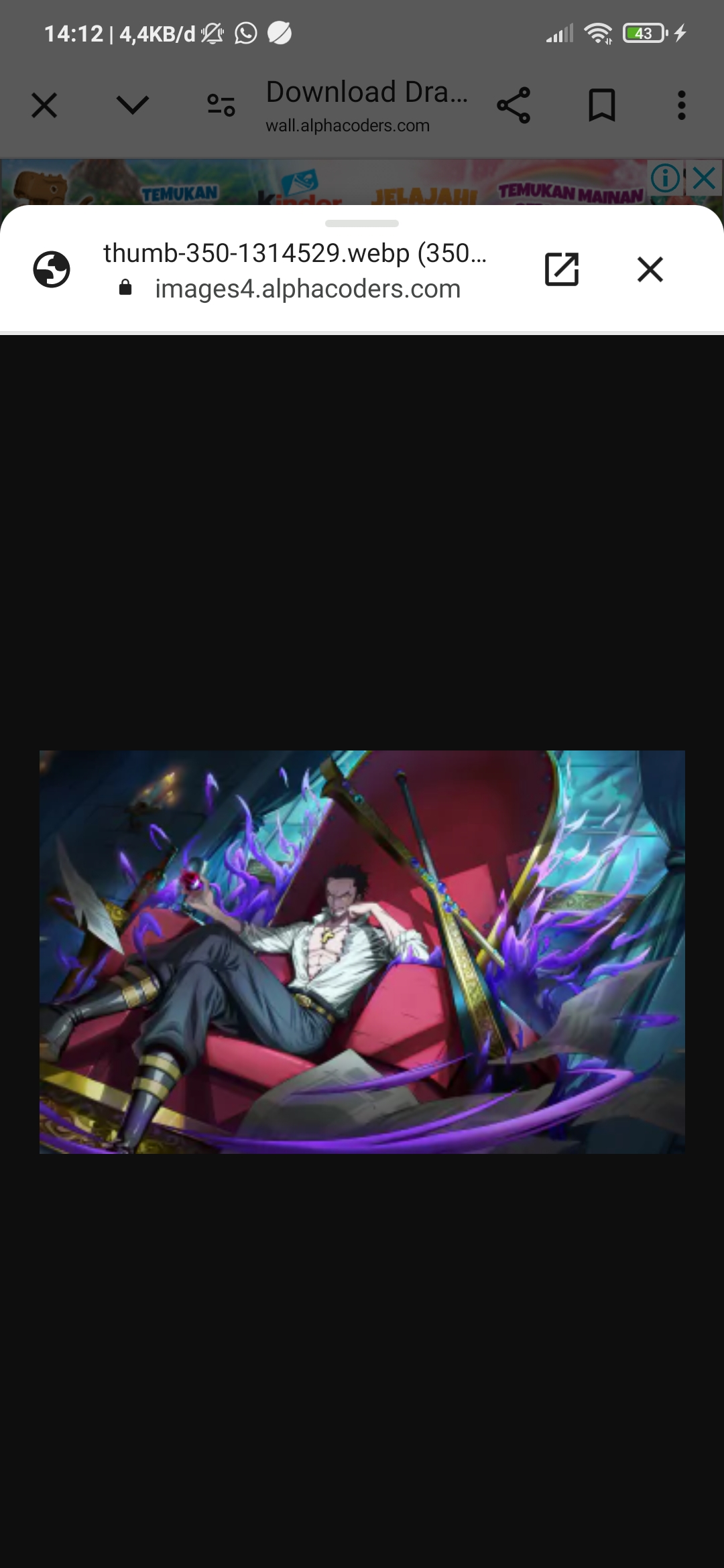 dracule mihawk