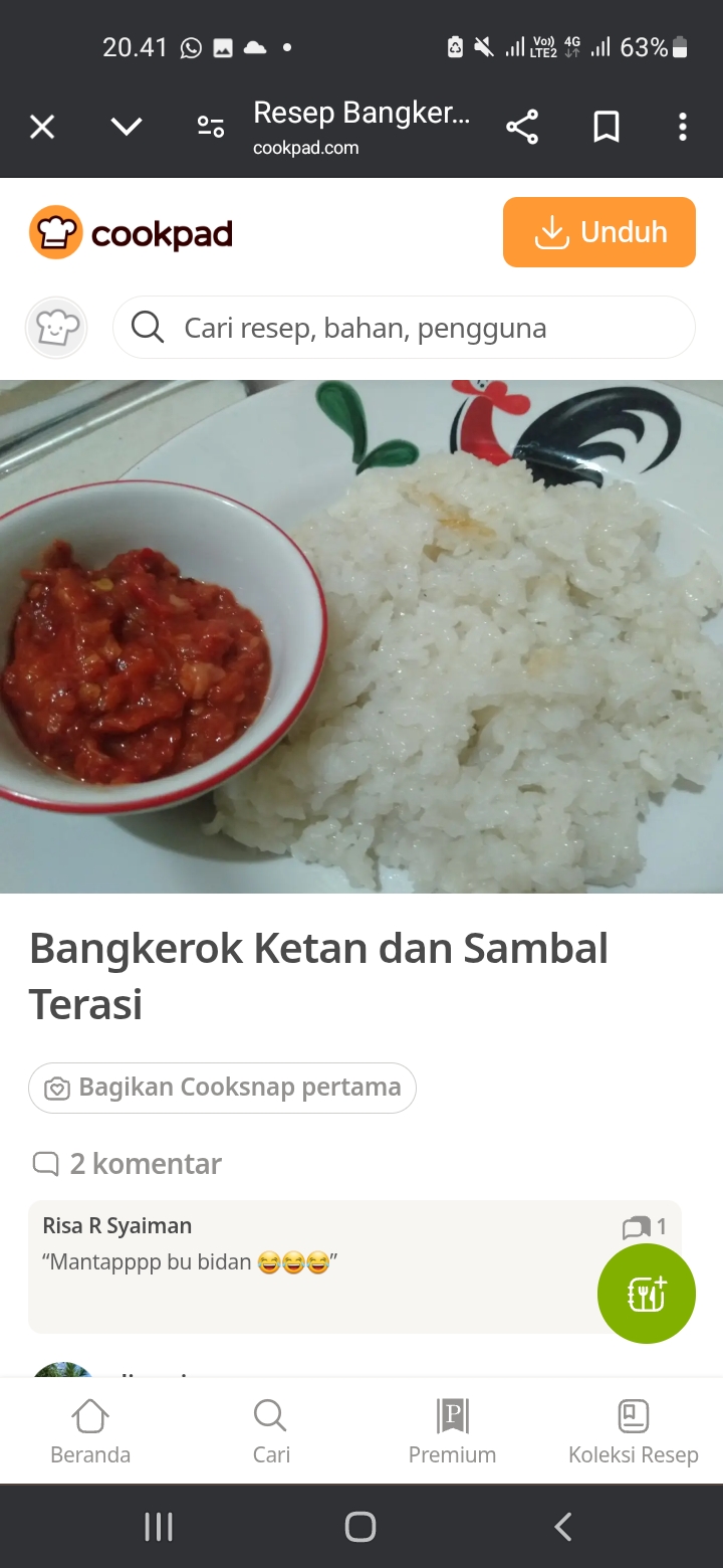 Bangkerok Ketan