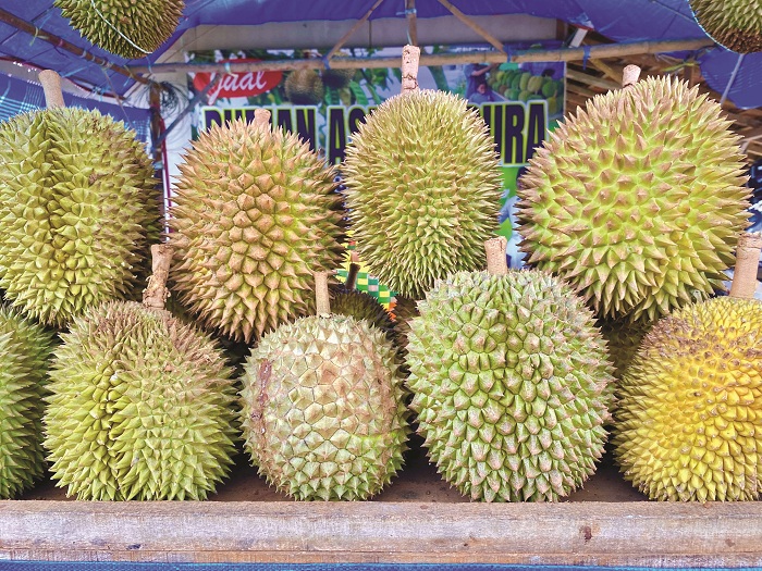 LOKAL: Berbagai jenis durian dijual di Desa Tebul Timur, Kecamatan Pegantenan, Pamekasan, Sabtu (15/2). (MOH. IQBAL AFGANI/JPRM)