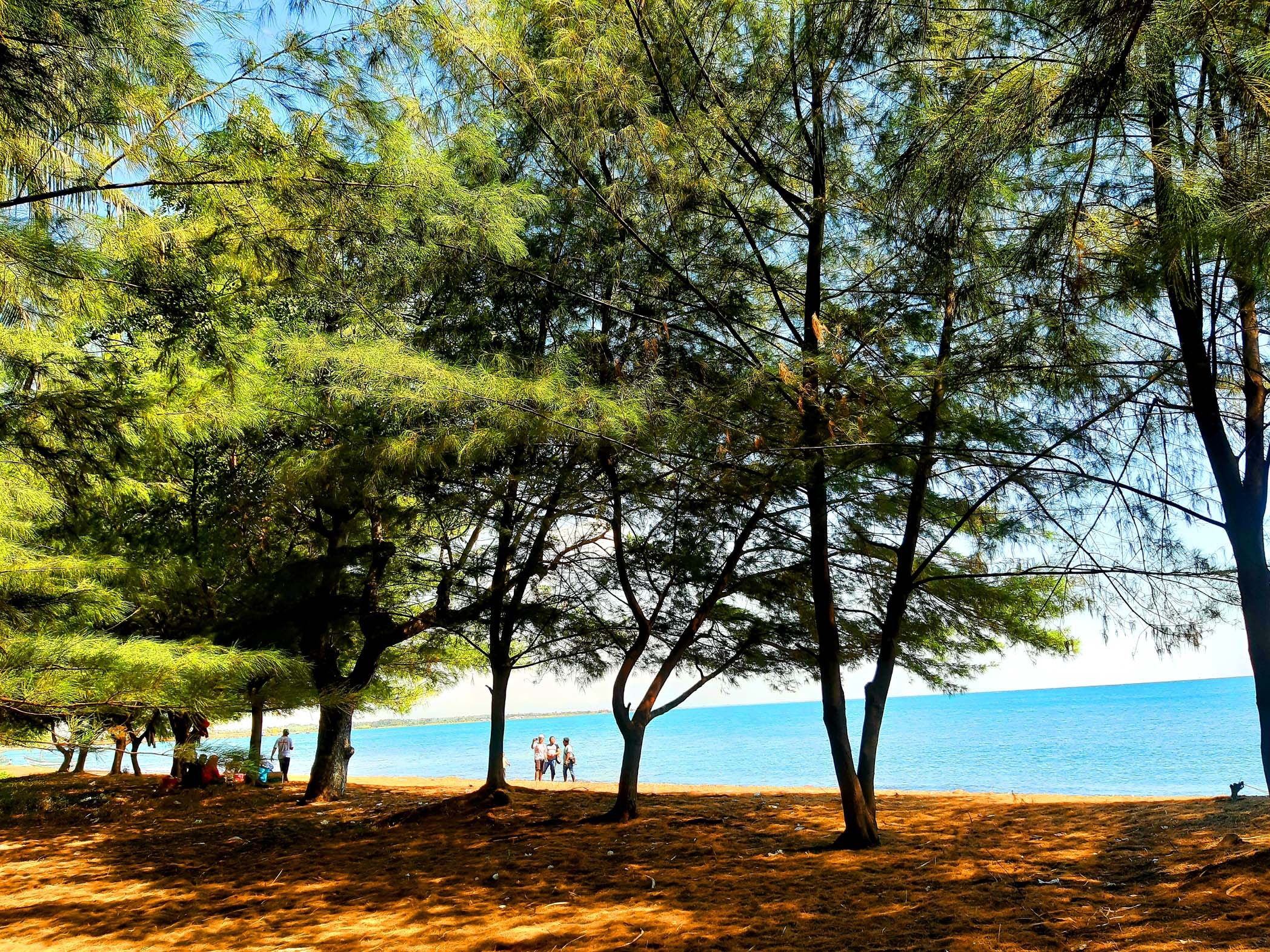 keindahan pantai firdaus di kawasan ekowisata banongan