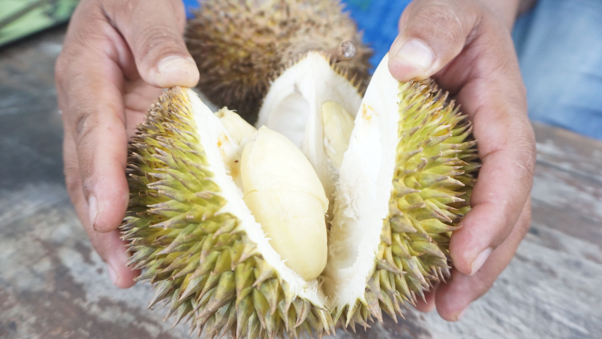 LEGIT: Durian lokal asli Desa Kampak, Kecamatan Geger, Bangkalan. (VIVIN AGUSTIN HARTONO/JPRM)