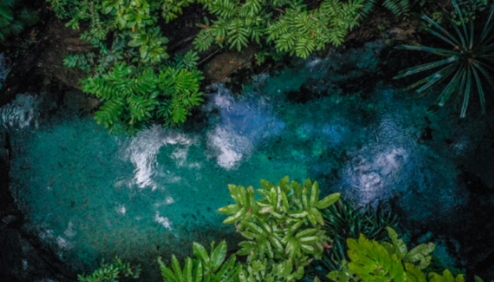 pesona wisata kalibiru, surga tersembunyi raja ampat