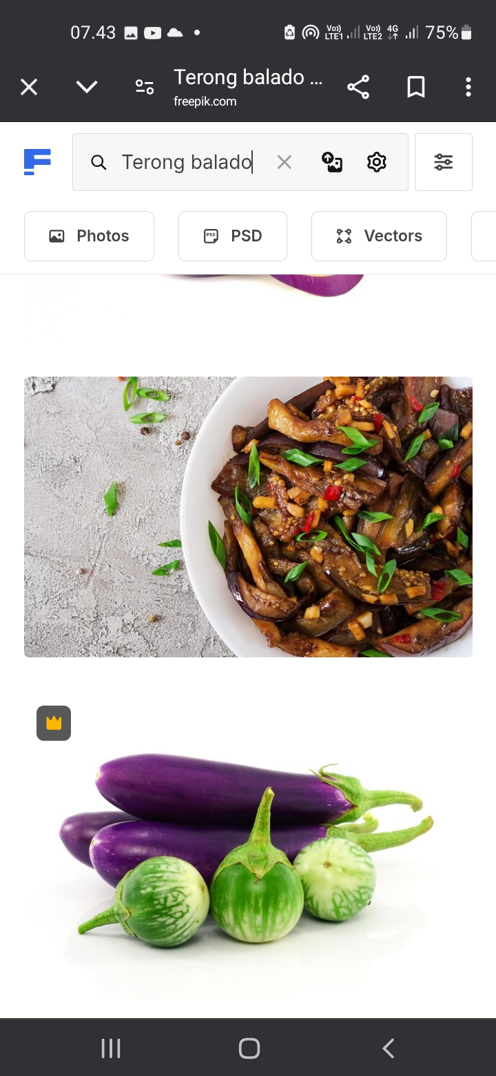 Terong Balado