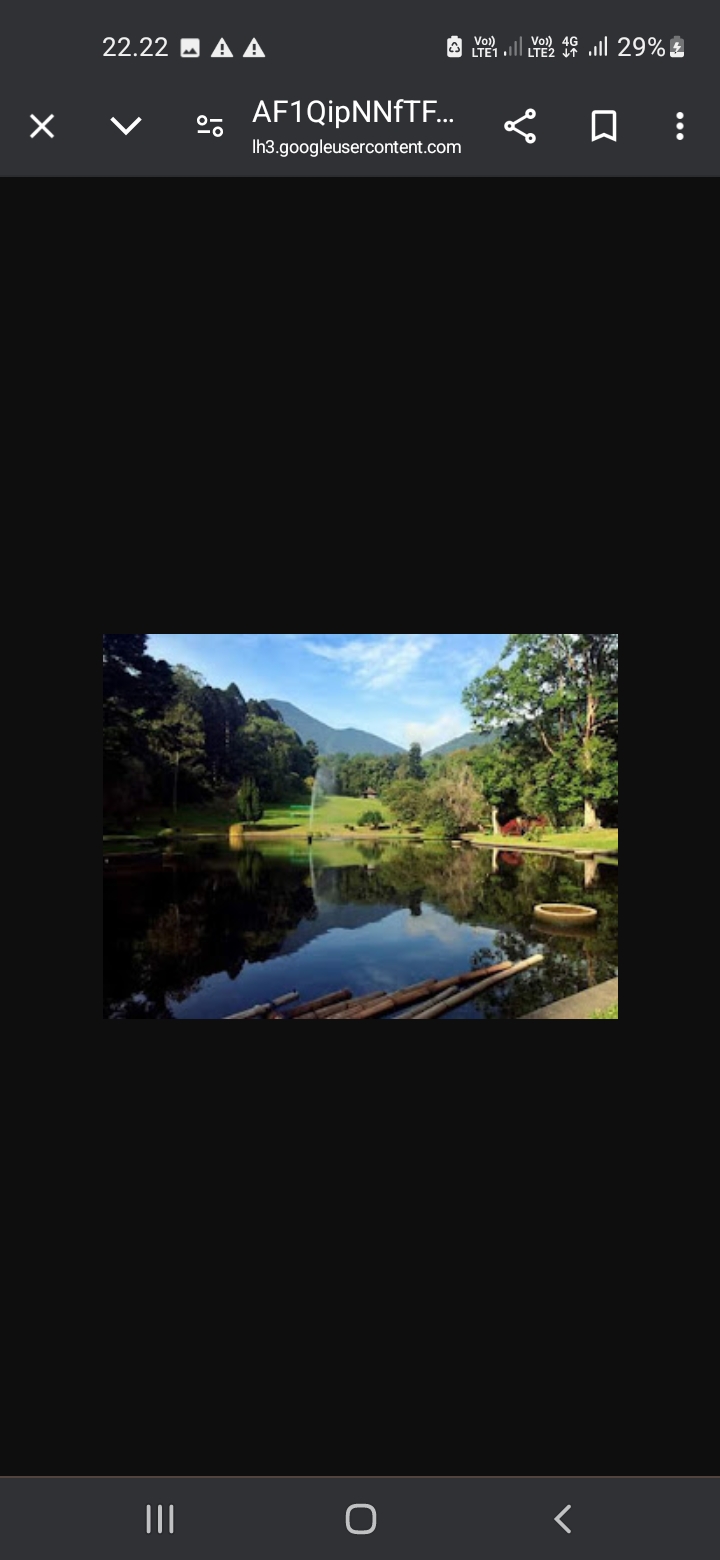 Kebun Raya Cibodas