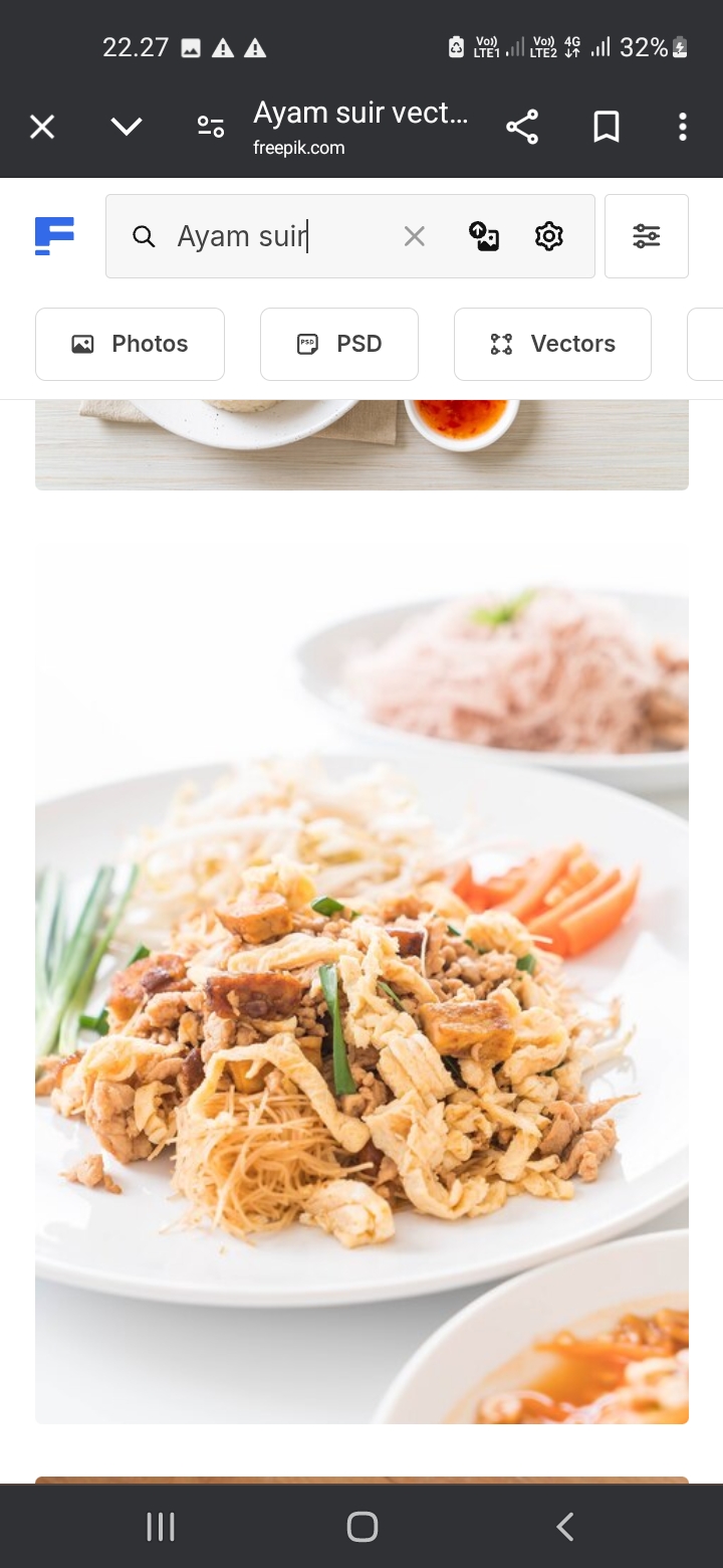Ayam suir