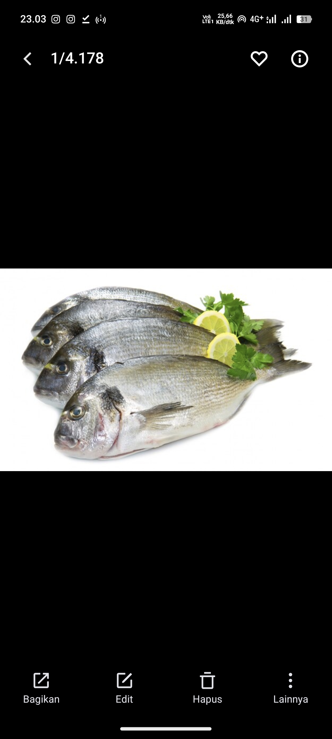 Ikan Laut