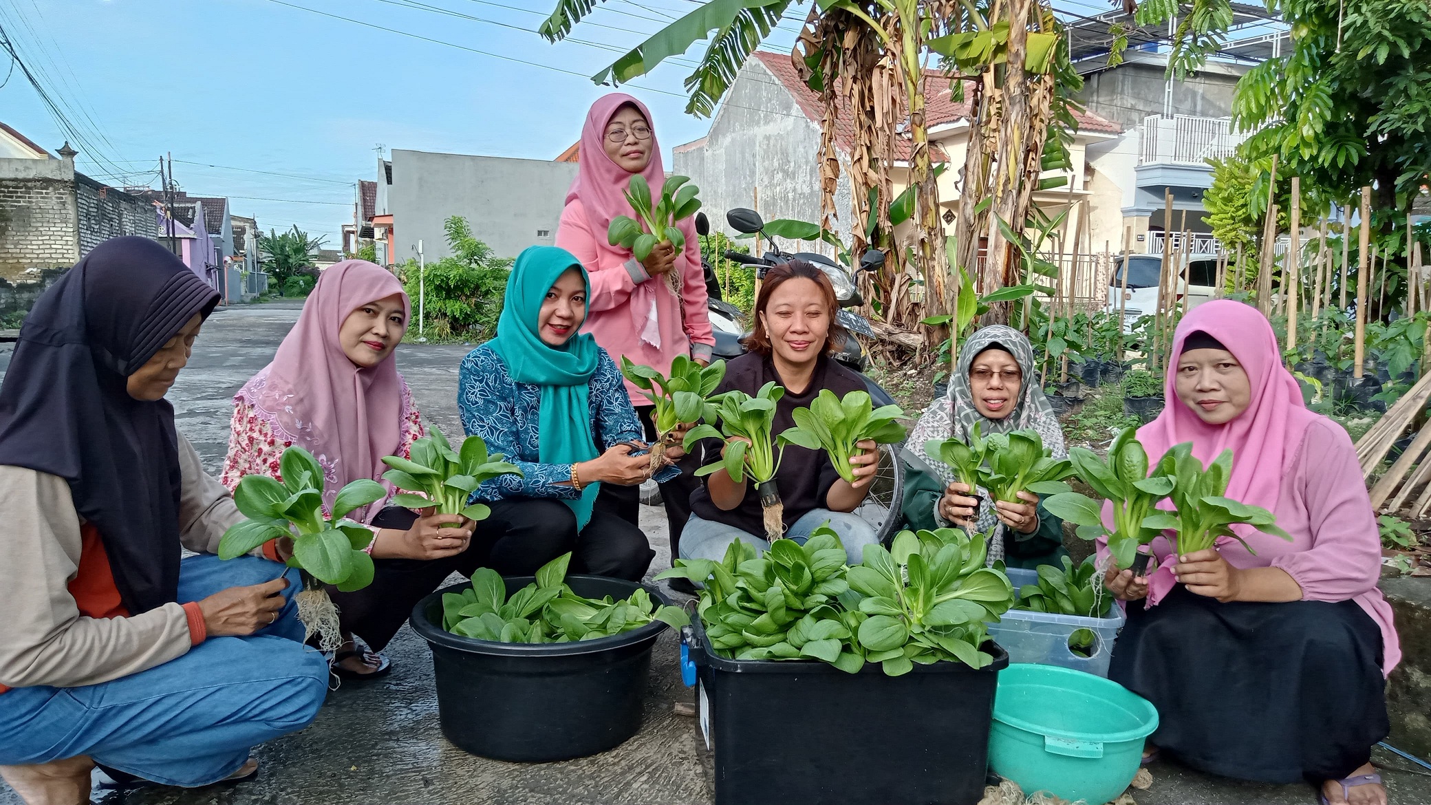 HIJAU: Anggota PKK RW 09 menunjukkan tanaman sawi hidroponik seusai dipanen di Perumahan Pondok Halim 2, Desa/Kecamatan Burneh, Bangkalan Jumat (21/3). (IMAMUDIN/JPRM)