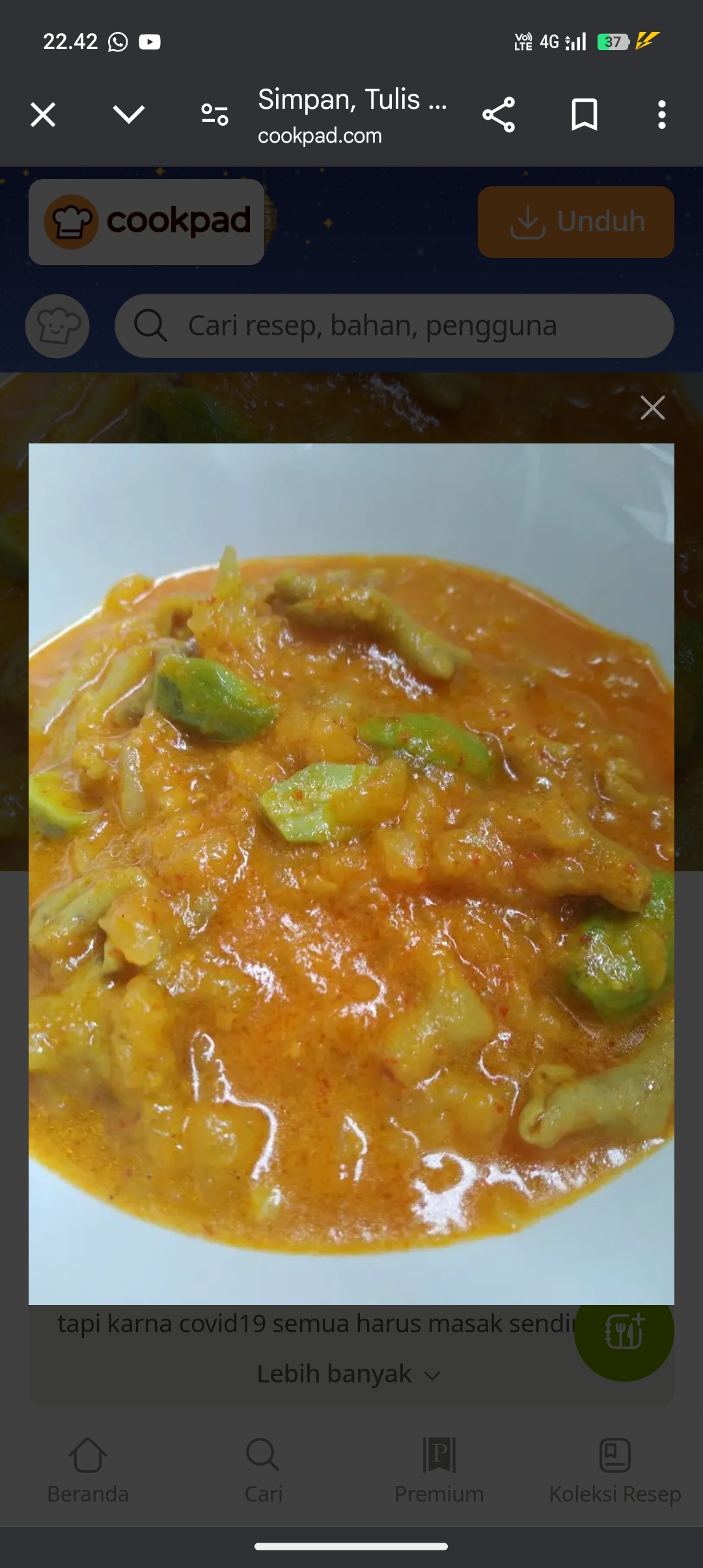 Sayur pepaya muda