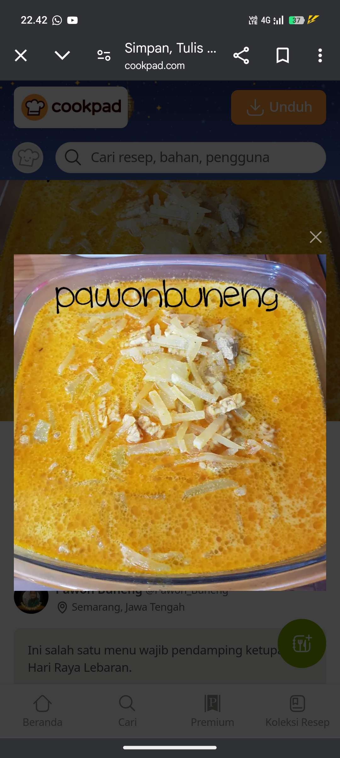 Resep sayur pepaya muda untuk lebaran