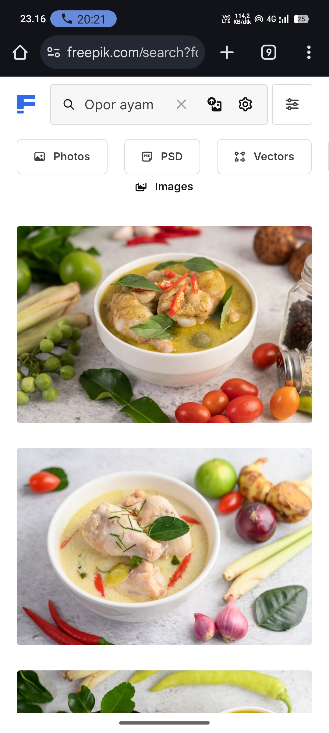 Opor Ayam