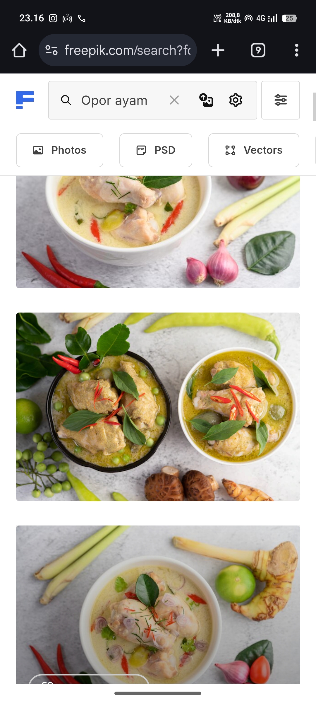 Opor Ayam