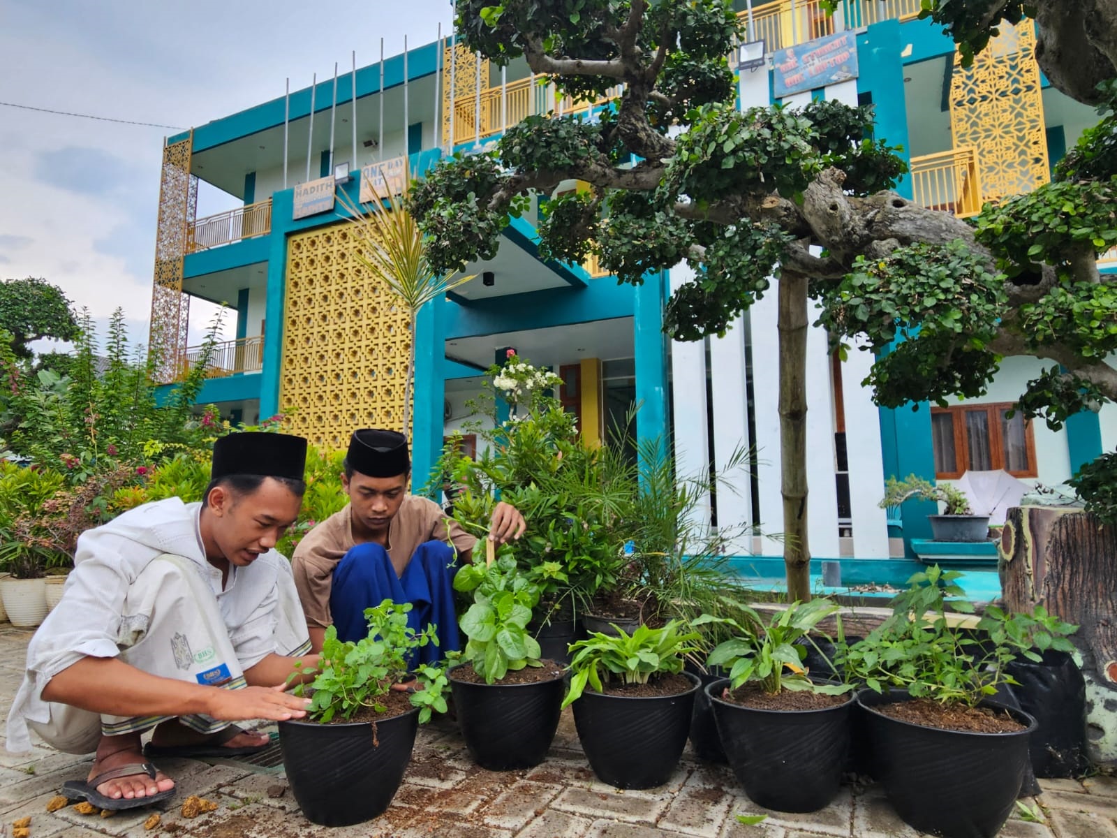 CINTA LINGKUNGAN: Santri IBS PKMKK Kembang Kuning merawat tanaman sebagai wujud pelaksanaan konsep kurikulum penyatuan. (ACHMAD MUHLIS UNTUK JPRM)