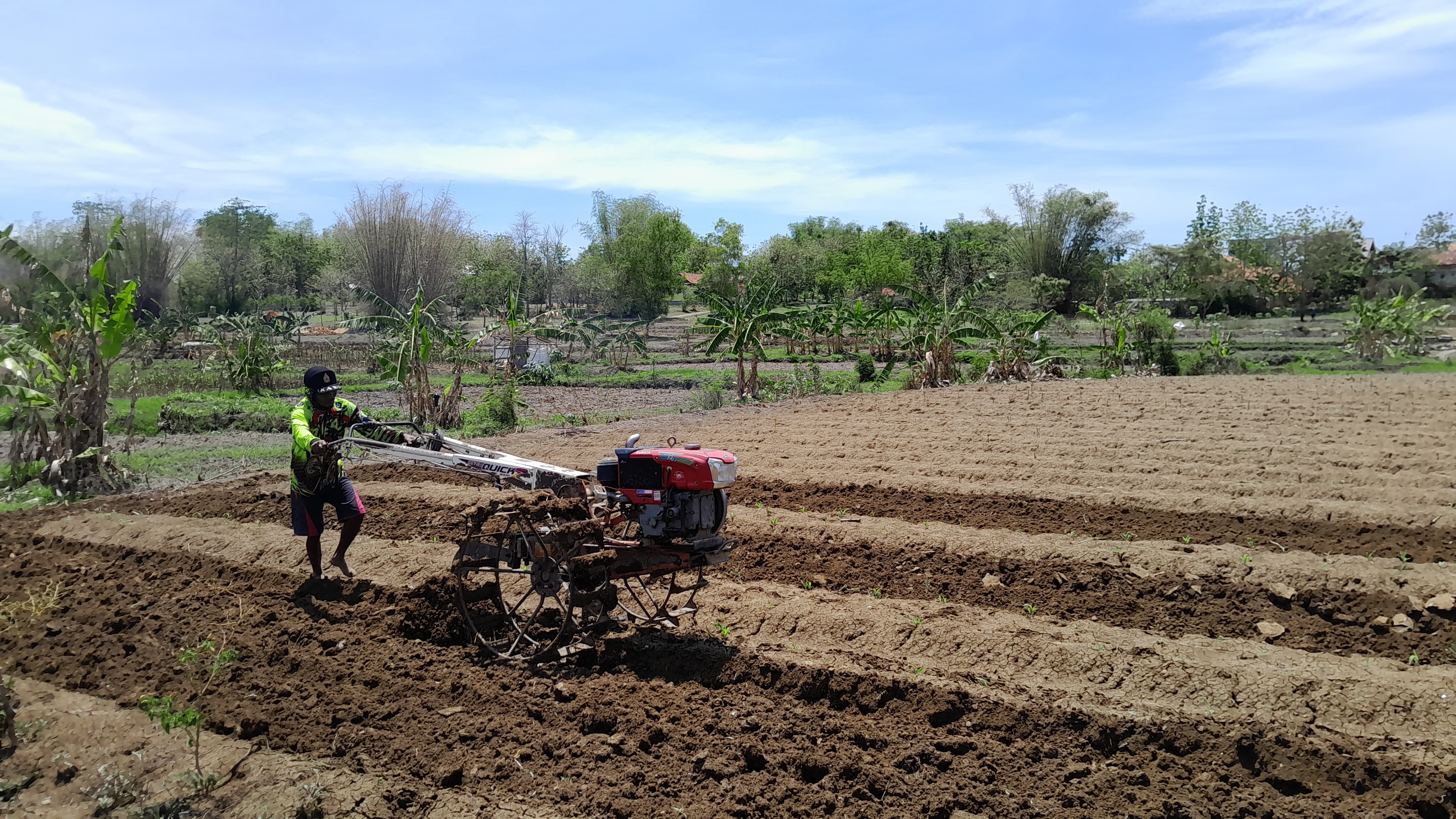 MENGGARAP LAHAN: Petani Desa Ceguk, Kecamatan Tlanakan, Pamekasan, membajak ladang pertaniannya menggunakan hand tractor, Oktober tahun lalu. (KHOLIL RAMLI/JPRM)