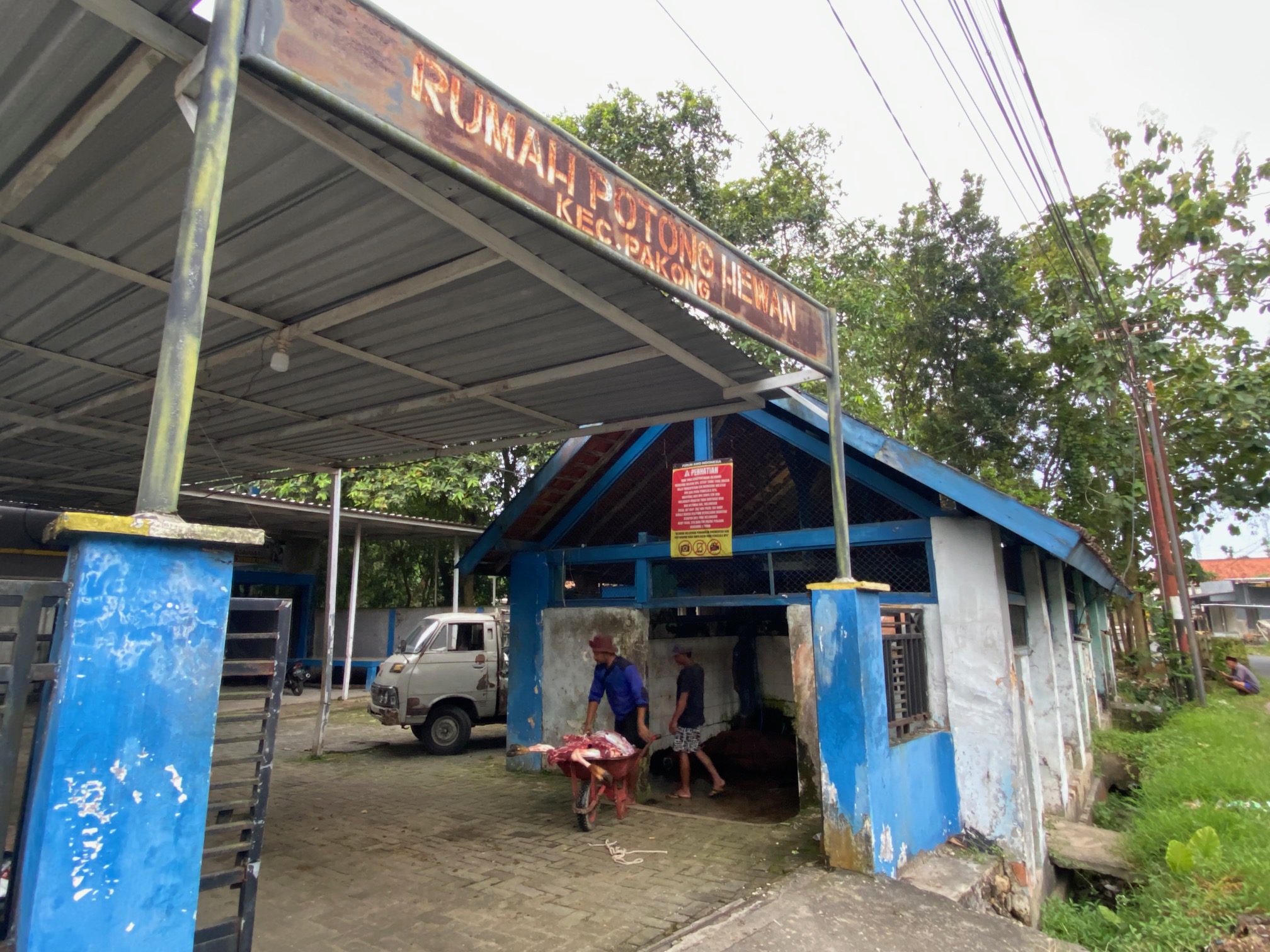 PRODUKTIF: Seorang warga membawa daging sapi seusai dipotong dari RPH Pakong beberapa waktu lalu. (AYU LATIFAH/JPRM)