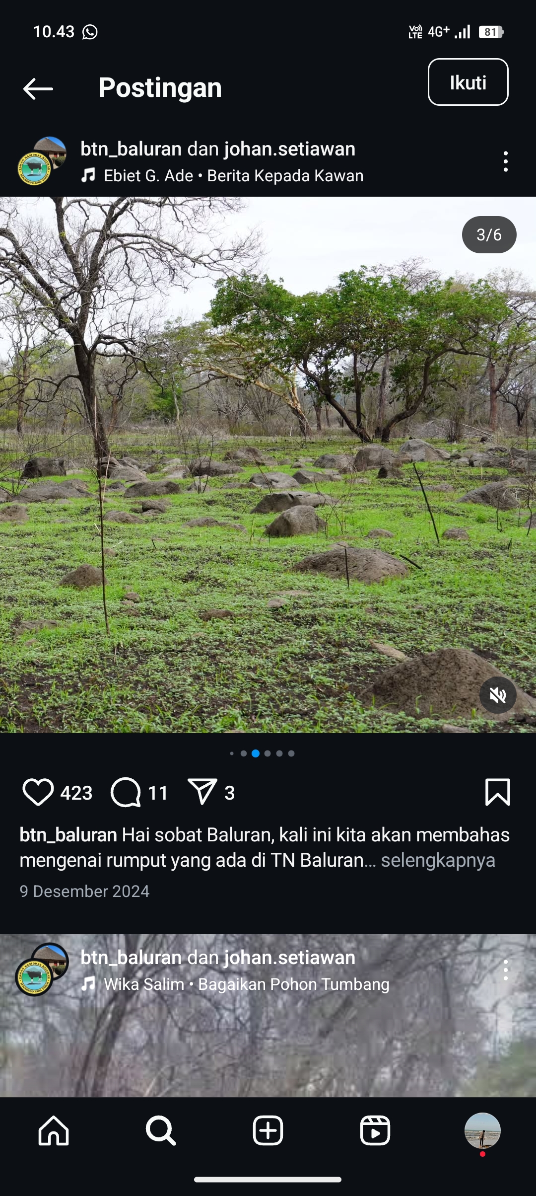 Taman Nasional Baluran