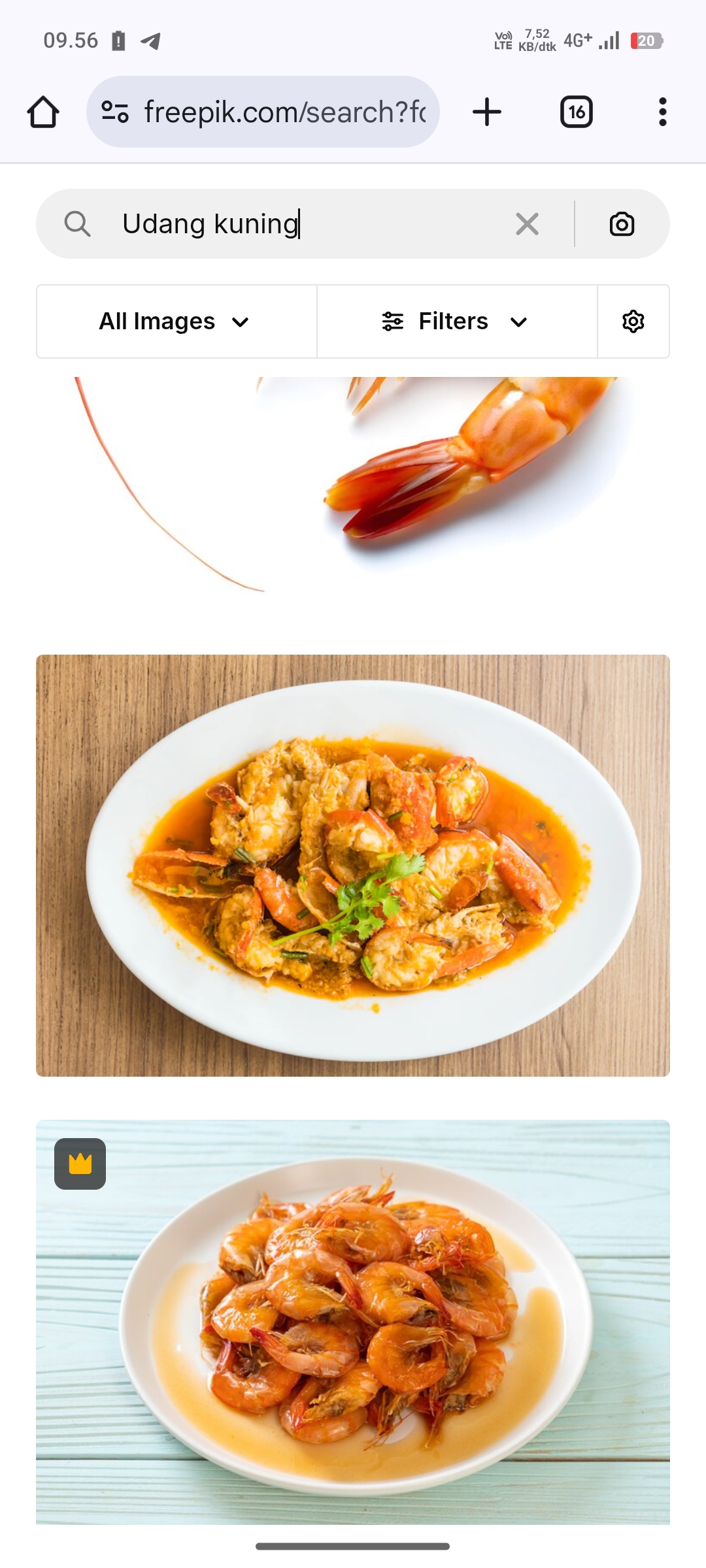 Ilustrasi Udang Kuning