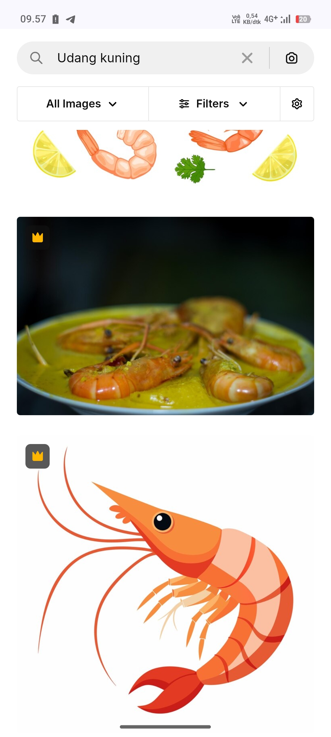 Udang Kuning