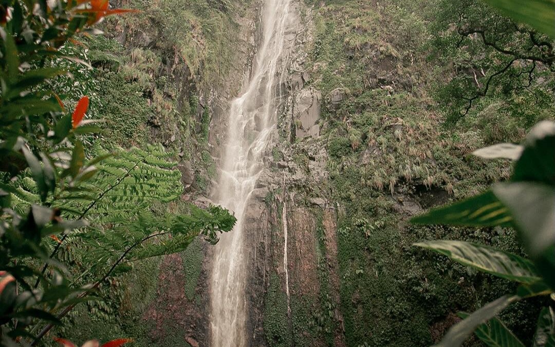 Pesona keindahan wisata air terjun Sedudo di kaki lereng Wilis, nganjuk Jawa Timur