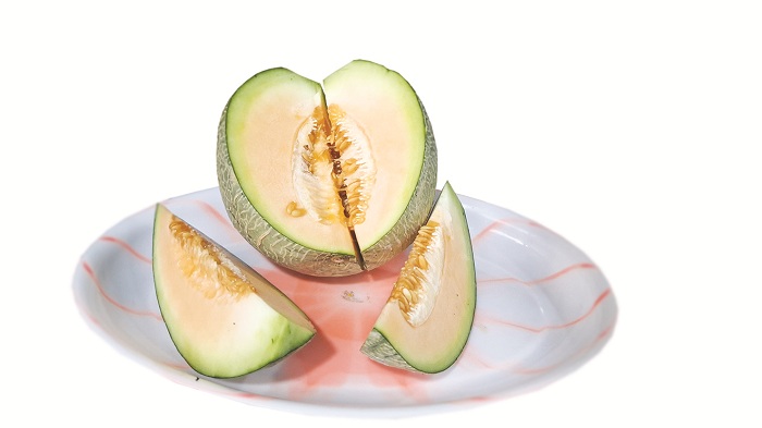 SEGAR: Melon jenis rock merlin hasil panen wisata petik melon di kebun Slamet Subari di Desa Keleyan, Kecmatan Socah, Bangkalan, Jumat (11/4). (IMAMUDIN/JPRM)