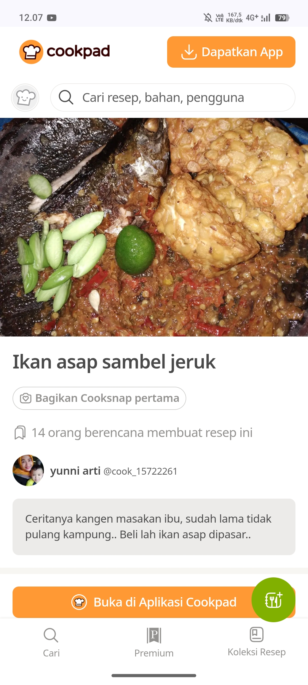 Ilustrasi Sambal Limau dan Ikan Asap