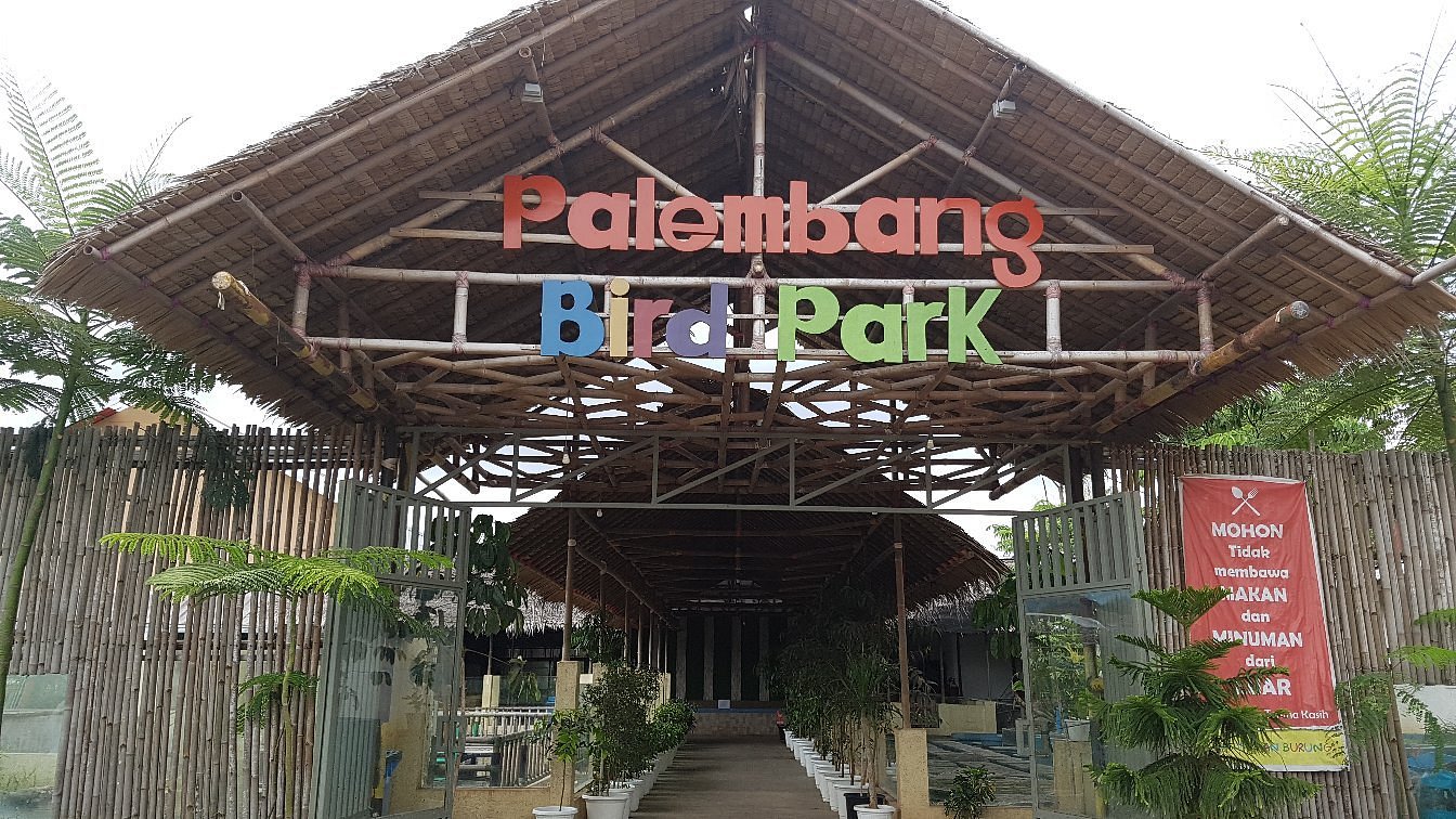 Wisata edukatif di Palembang untuk lebih jauh mengenai unggas burung di Palembang Bird Park