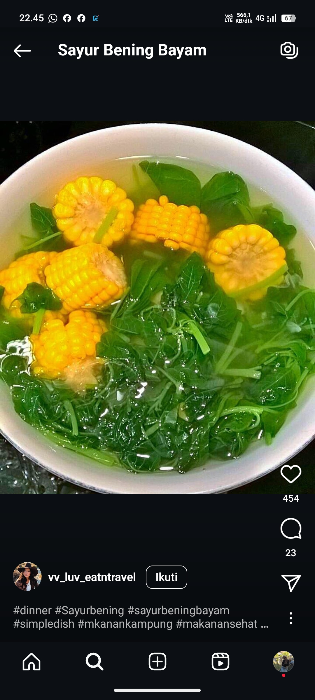 Sayur Bening Bayam