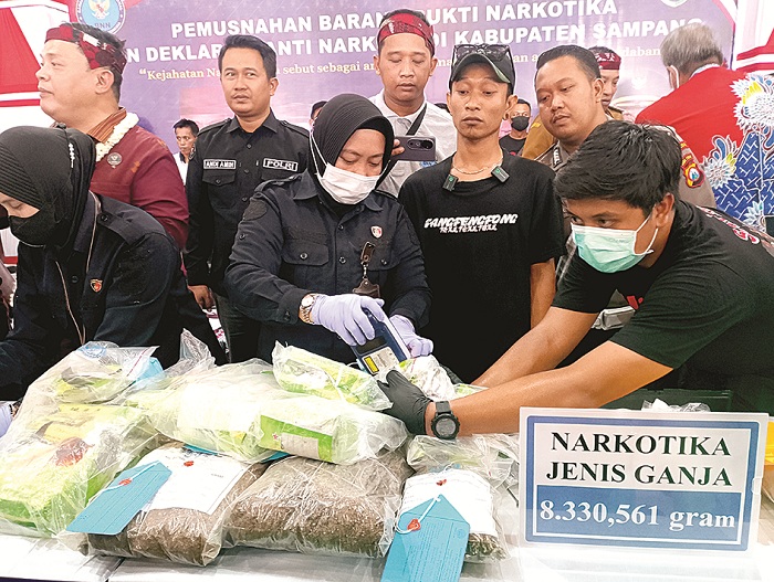 DILARANG: Tim Forensik Polda Jatim mengecek keaslian barang bukti ganja sebelum dimusnahkan di Pendopo Trunojoyo, Sampang, Selasa (29/4). (UBAIDILLAHIR RAIE/JPRM)