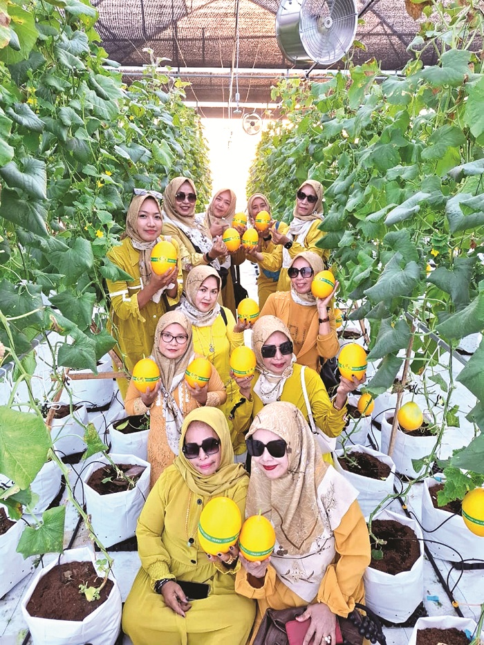 SEMRINGAH: Pengunjung berfoto bersama di Agrowisata Green Aries di Desa Karangbudi, Kecamatan Gapura, Sumenep. (GREEN ARIES UNTUK JPRM)