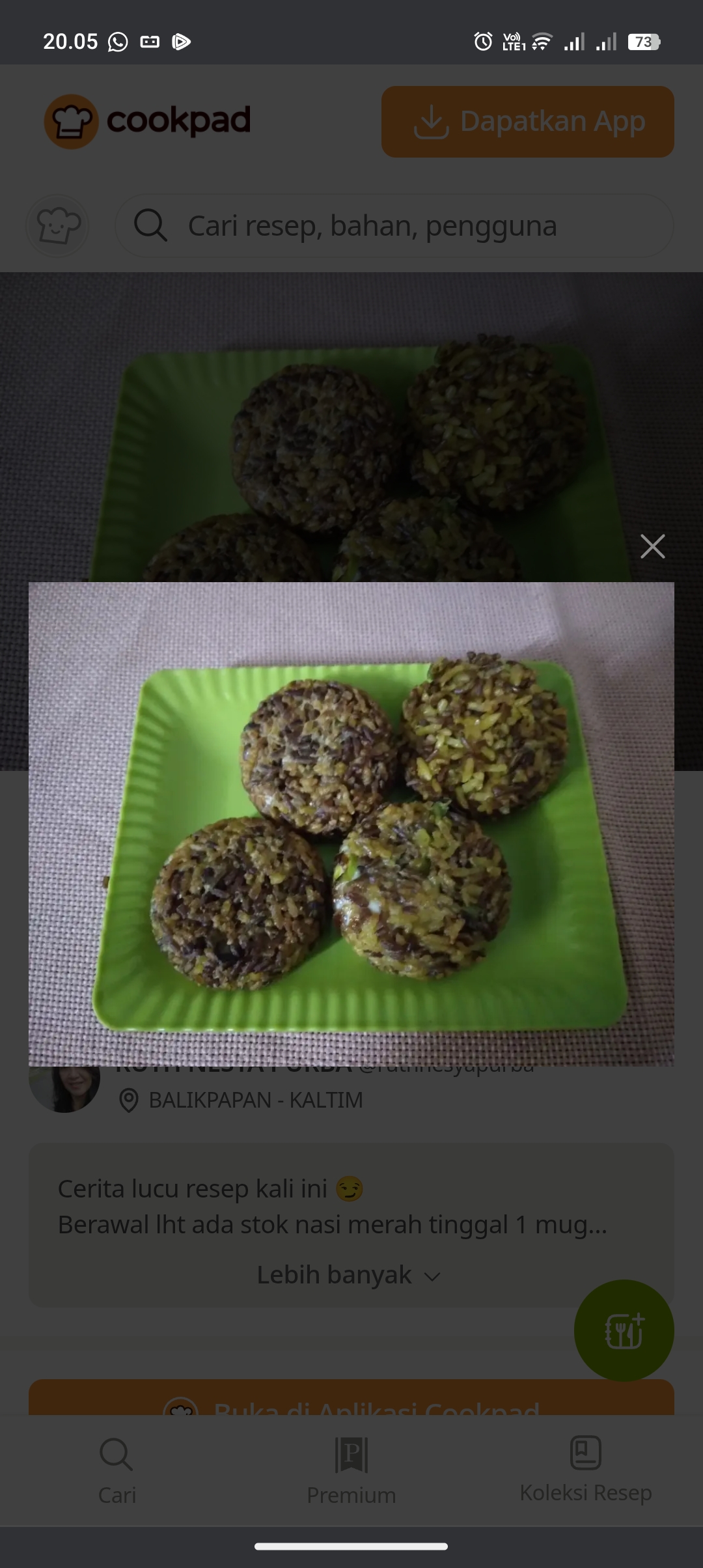 Resep martabak nasi sisa
