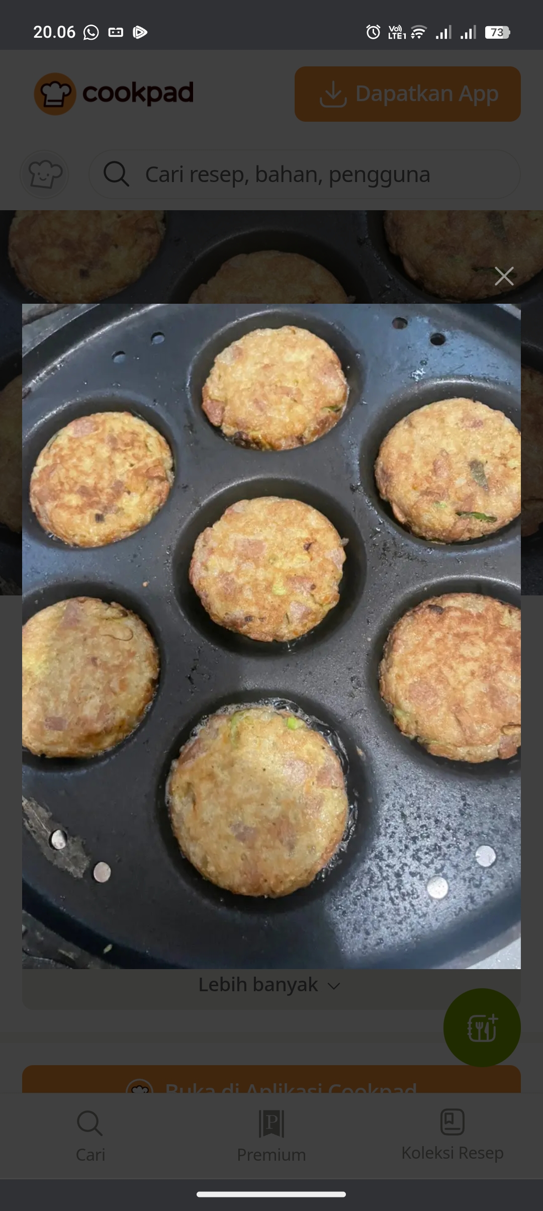 Resep martabak nasi sisa