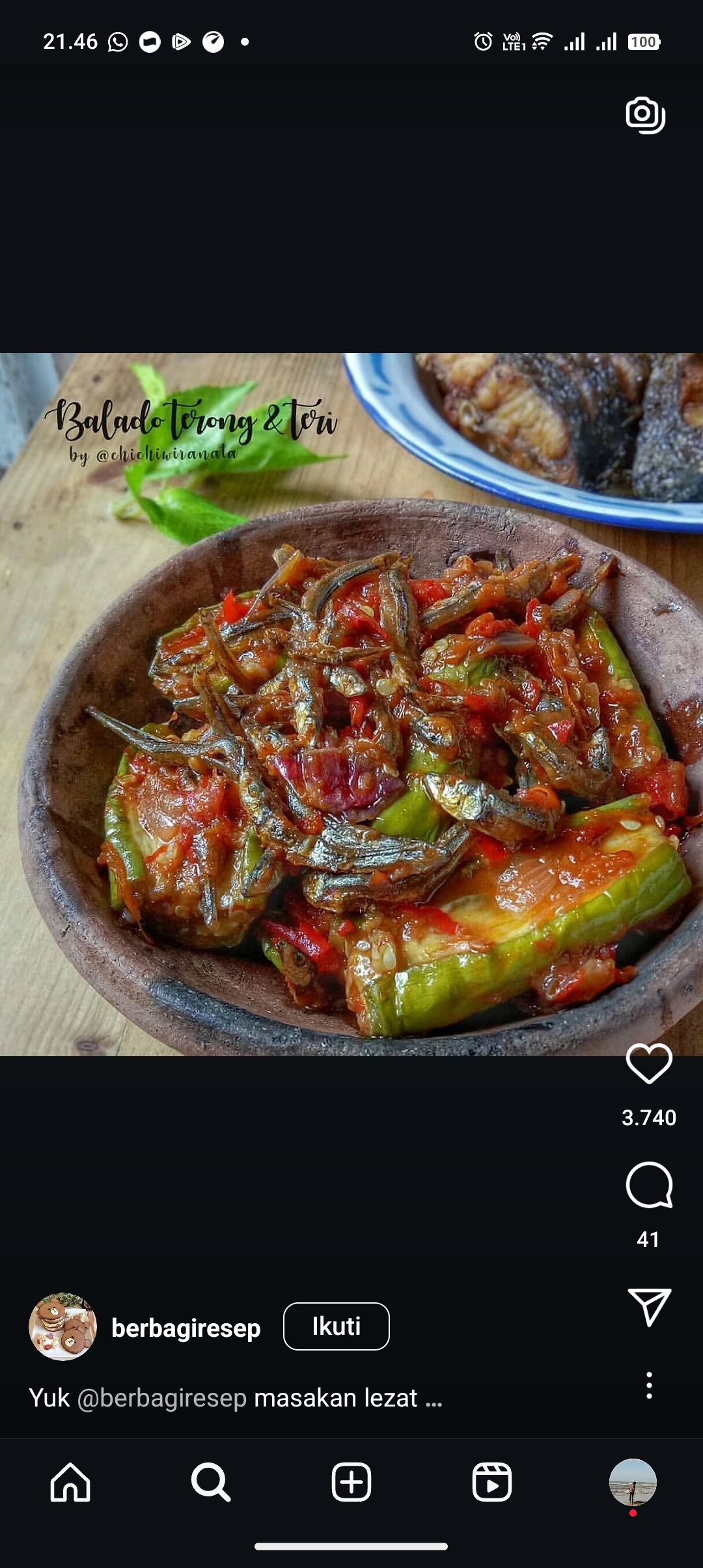 Terong ikan teri