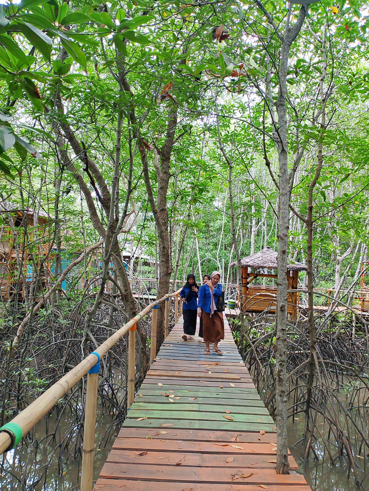 CERAH: Pengunjung menikmati wahana Wisata Mangrove Maraparan di Desa Marparan, Kecamatan Sreseh, Sampang, Minggu (7/4/2024). (UBAIDILLAHIR RA&rsquo;IE/JPRM)